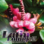 abstract Latin Lounge3