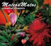 Mateo and Matos/essential elements